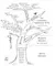 Arbre des genres et registres littéraires.