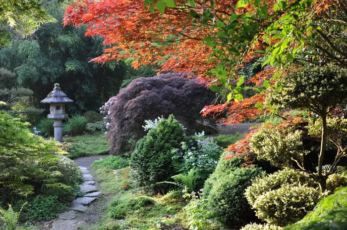Photo d’un jardin avec lanterne en pierre.