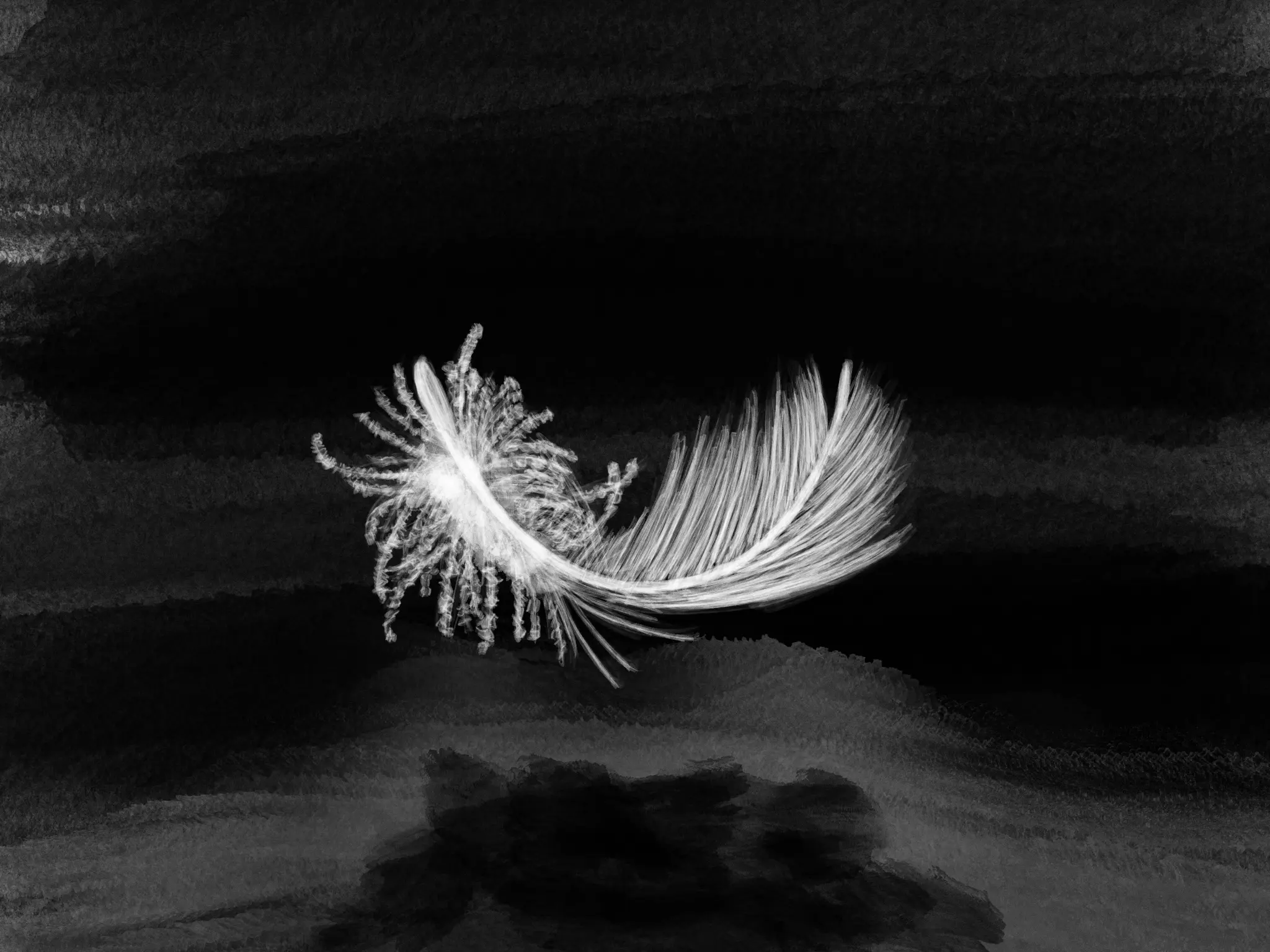 une plume de duvet flotte dans le noir