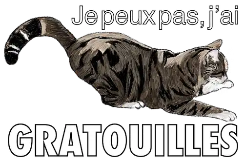 chat qui s'étire je peux pas j'ai gratouilles