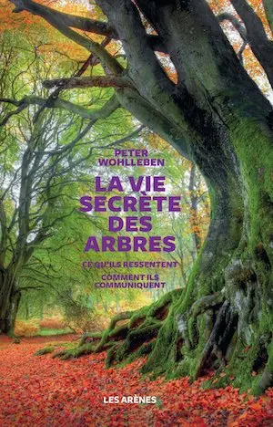 Couverture du livre représentant un énorme arbre très âgé dans une forêt aux sous-bois verdoyant avec un tapis de feuilles d'automne brunes autour des racines.