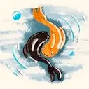 Peinture aquarelle de deux poissons qui forment le yin et le yang.