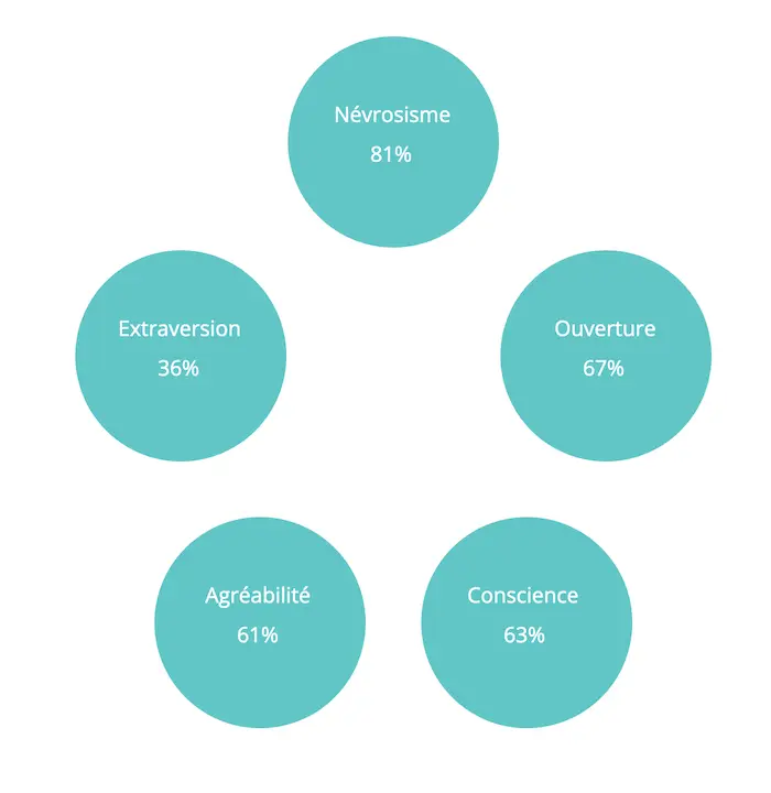 Image de profil détaillant les différents aspects de la personnalité obtenus à partir des réponses au Big 5.