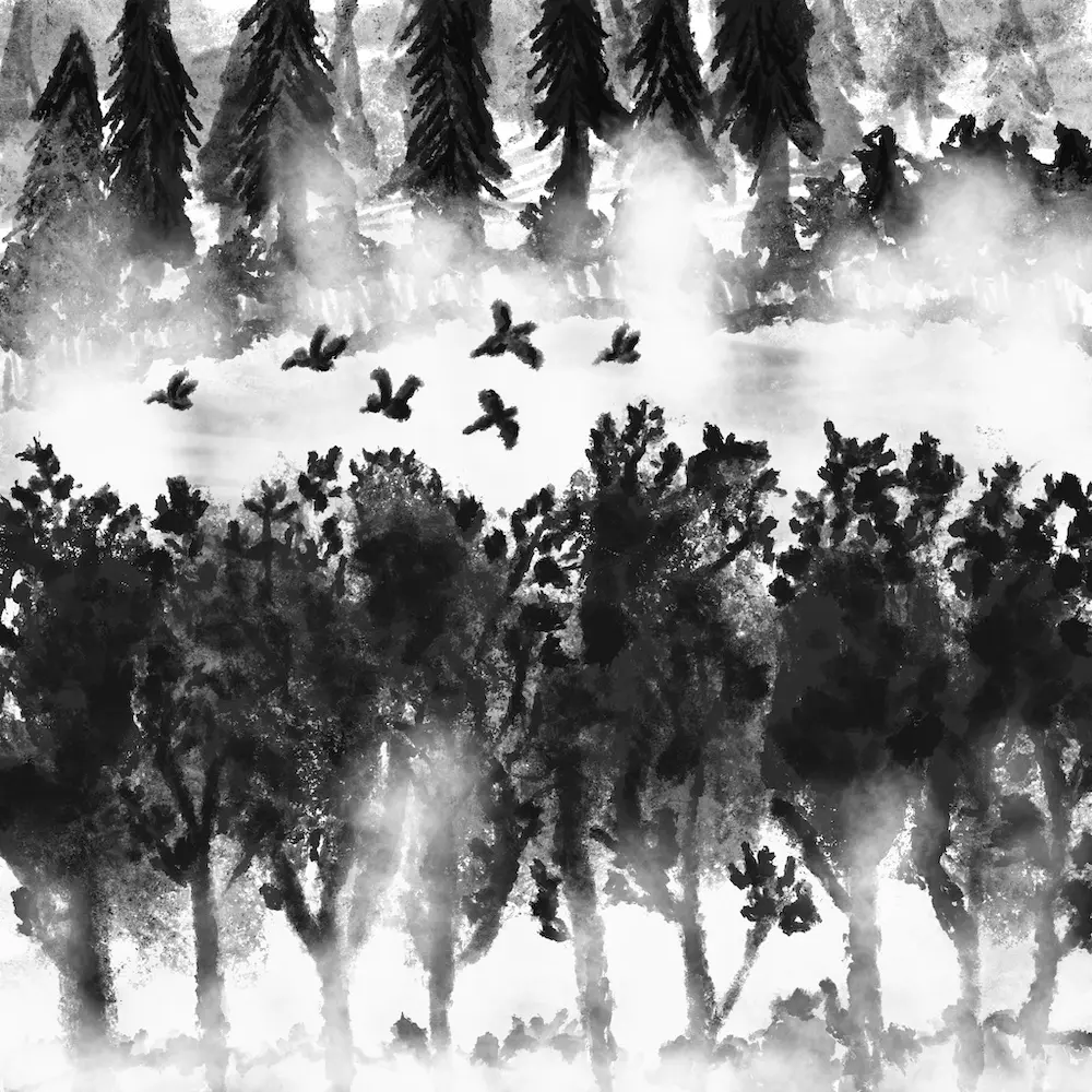 Plan d’eau entouré d’arbres avec brouillard et canards qui volent en noir et blanc.