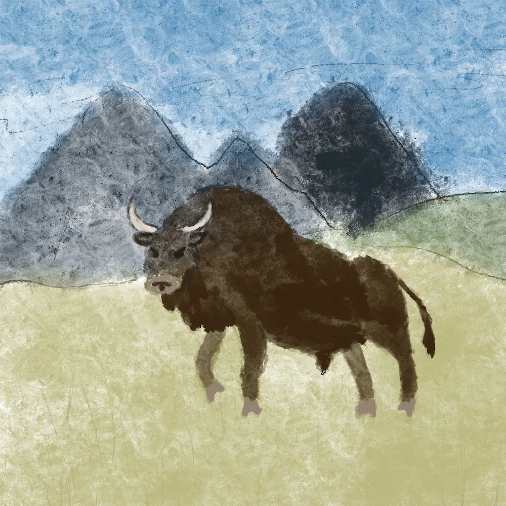 Bison seul au milieu d’une vaste étendue d’herbe avec montagnes au loin.
