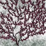 Dessin numérique représentant les rameaux d'un buisson.
