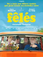 Affiche du film Fêlés.