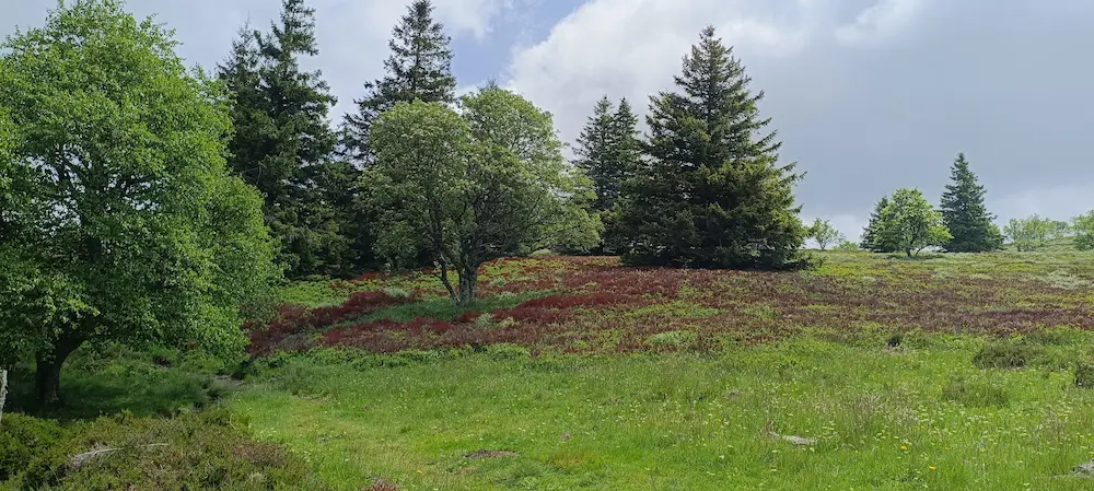Plateau au-dessus de la grande cascade.