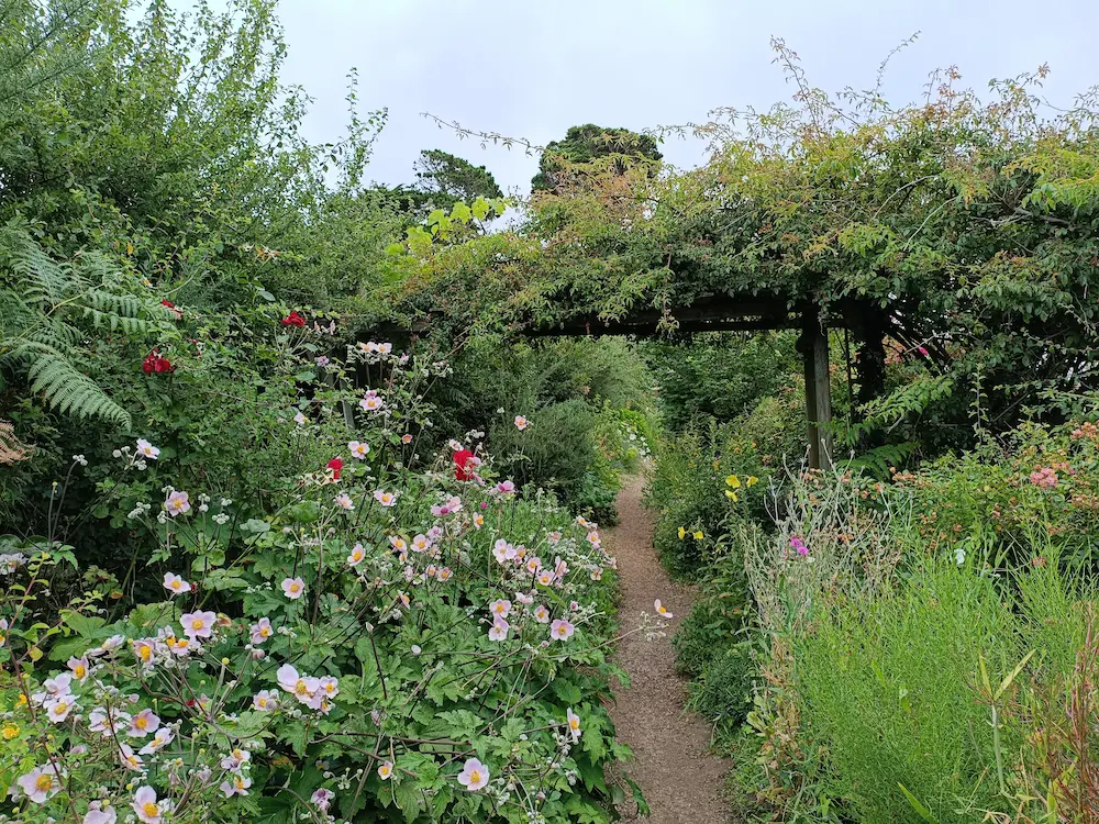 Le jardin de Papy.