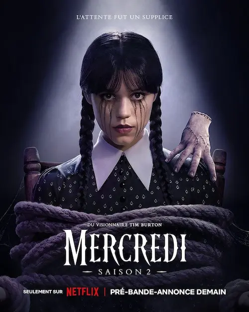 Affiche de la série.