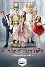 Affiche du film.