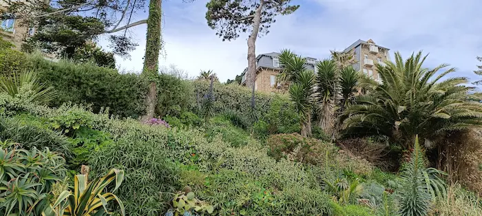 La végétation.