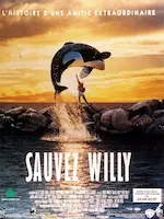 Affiche du film Sauvez Willy représentant une orque sautant au-dessus d'une digue au soleil couchant, avec un garçon debout sur la digue.