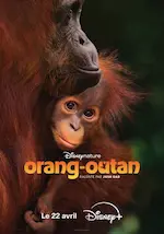 Affiche du documentaire Orang-outan représentant une femelle et son petit.