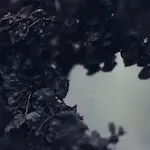 Pochette de l’album Palingenesis représentant des plantes calcinées.